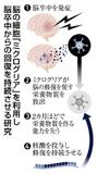脳卒中 後遺症減に道