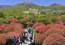 那須でヤマツツジが見頃