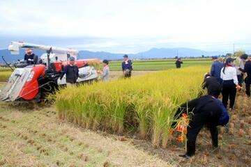 【コメ生産】製菓や外食チェーンの参入相次ぐ