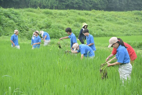 雨の中、除草作業に汗を流す生徒たち