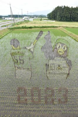 田んぼアートで描かれた村上選手とつば九郎