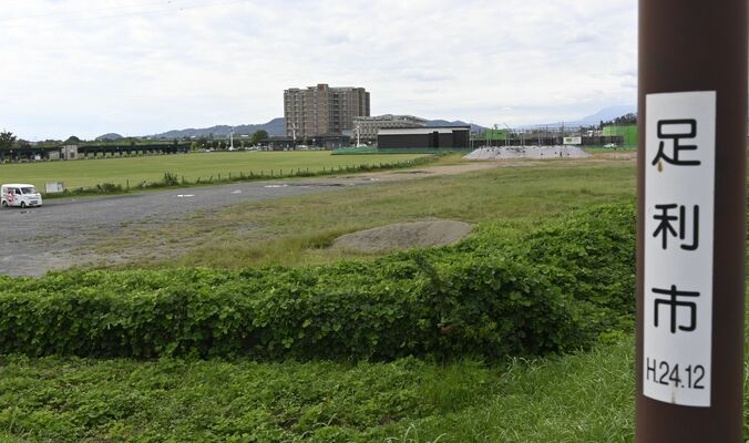 足利市役所新庁舎と市民会館の建設地となる旧競馬場跡地＝19日午後、同市五十部町