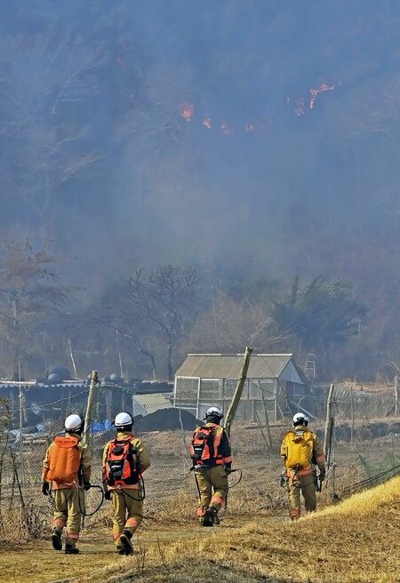 白煙が立ちこめる火災現場に向かう本県の消防隊員。上部の斜面には炎が見えた＝１日午前10時25分、岩手県大船渡市赤崎町合足、広瀬華撮影