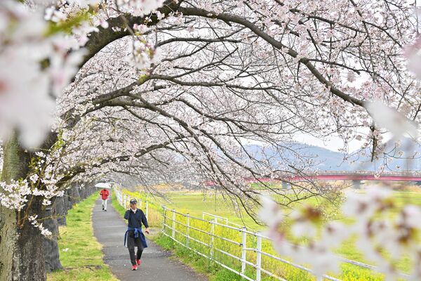 秋山川堀米緑地（佐野市）