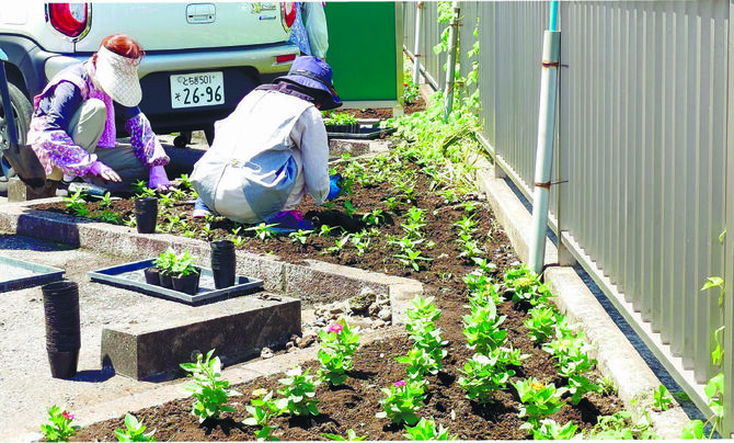 JAおやま本店の花壇に植え付ける会員たち