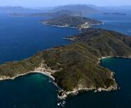 中間貯蔵賛成派5人当選確実