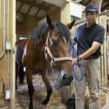 宇都宮で引退競走馬を一時預かり　乗馬用などセカンドキャリア移行支援　T…