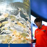 命の大切さ伝える展示 希少な淡水魚や水生昆虫など130種 さいたま水族…