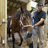 宇都宮で引退競走馬を一時預かり　乗馬用などセカンドキャリア移行支援　TAWが取り組み