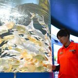 命の大切さ伝える展示 希少な淡水魚や水生昆虫など130種 さいたま水族館(埼玉・羽生)
