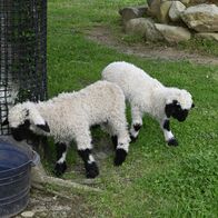 「世界で最もかわいい」赤ちゃん一般公開…