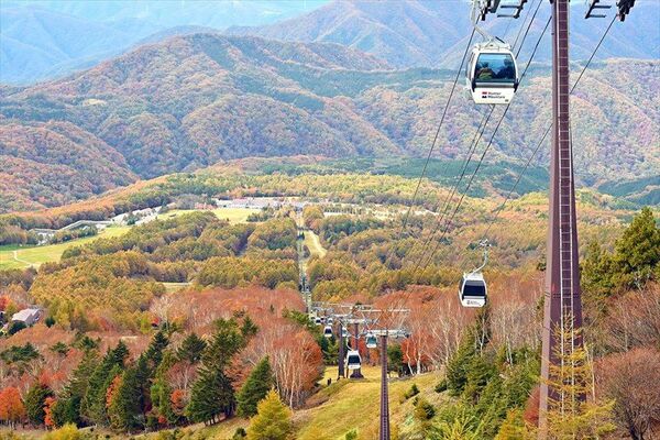 赤や黄色に染まった斜面と周辺の山々＝23日午後０時５分、那須塩原市湯本塩原