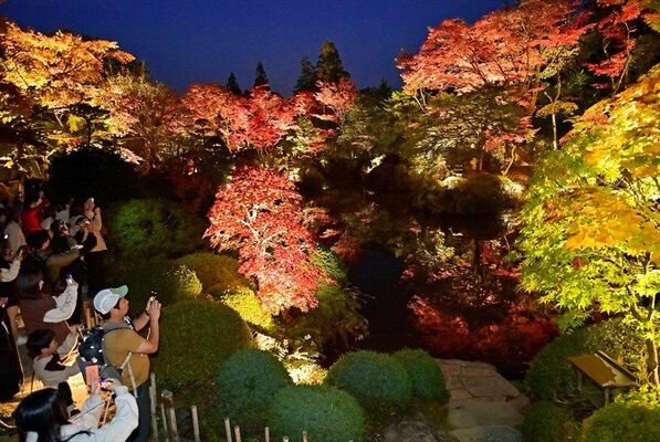 明かりに浮かび上がる逍遥園の紅葉に見入る人たち＝５日午後５時20分、日光市山内