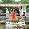 バラに囲まれフラメンコ披露　あしかがフラワーパークで祭典
