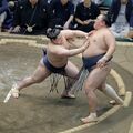 若ノ勝（宇都宮市出身）は玉鷲から白星　大相撲夏場所5日目