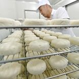 夏の需要期前にチーズ作り本格化　酪農盛んな那須地域　大田原の工房でも作…