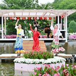 バラに囲まれフラメンコ披露 あしかがフラワーパークで祭典