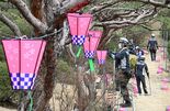 八幡山公園でぼんぼり取り付け