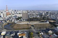 午年にできたのは？