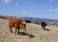 カルデラの絶景にため息