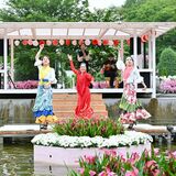 バラに囲まれフラメンコ披露　あしかがフラワーパークで祭典