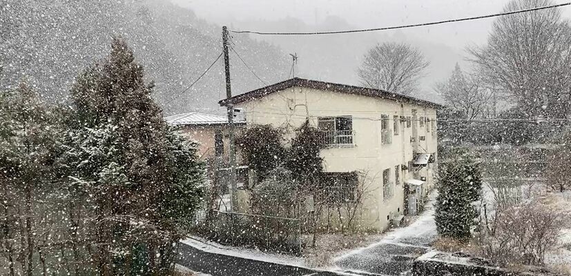 雪が降り出した日光市内＝13日午後1時50分、日光市石屋町