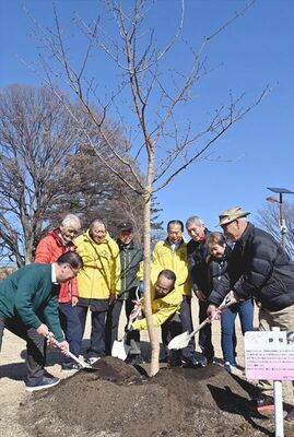 静桜を植樹する花の会のメンバー