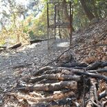 足利で山火事８件、放火か　昨年12月から半径４キロ圏内　発生は未明から朝