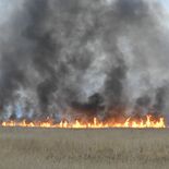 渡良瀬遊水地で火災、延焼中　3月7日にはヨシ焼きの予定も