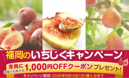 JAタウンの博多うまかショップでなめらか&プチプチ食感をお得に楽しめる福岡いちじくキャンペーンを実施中