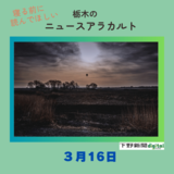 ３月16日の栃木県内ニュース　「金賞に金澤さん（宇都宮）の『希望』　下野写真協会・第26回紙上コンテスト」など3本をお届けします