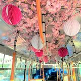 車体も車内も「桜」で満開　期間限定のラッピングバス　宇都宮など運行