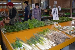 ＪＡグループ栃木　農産物直売所めぐり　道の駅明治の森・黒磯青木ふるさと物産センター　ＪＡなすの　新鮮な野菜　観光客を魅了