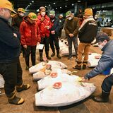 宇都宮中央卸売市場で初競り