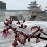 那須高原で24時間15センチ降雪　栃木県内８日昼前まで大雪に注意