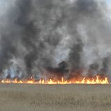 渡良瀬遊水地で火災、延焼中　3月7日にはヨシ焼きの予定も