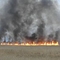 渡良瀬遊水地の火災は通報７時間後に鎮火…
