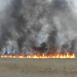 渡良瀬遊水地で火災、延焼中　3月7日にはヨシ焼きの予定も