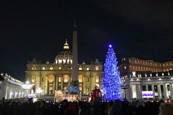 　バチカンのサンピエトロ広場に設置されたクリスマスツリー＝１５日（共同）