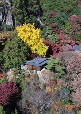 崖の上に立つ茶室「清心亭」周辺を彩る紅葉＝30日午前10時30分、足利市月谷町、ドローンから