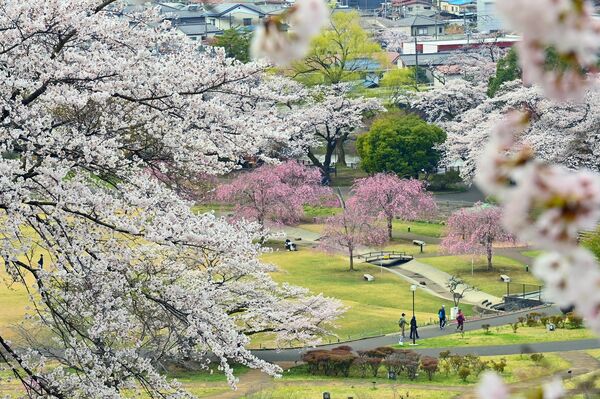 長峰公園（矢板）