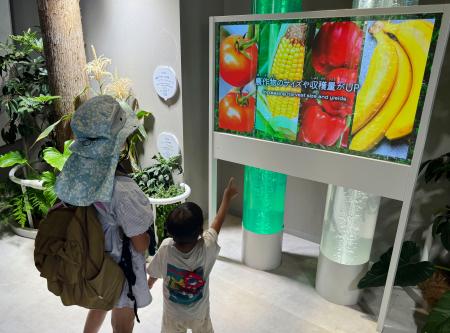 　大阪・関西万博で展示中の「ノビテク」の実験＝２日、大阪市此花区の夢洲