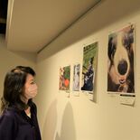 うちのかわいいペットを見て！　栃木で参加型写真展