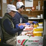 イチゴ栽培、取材で見えた現状と課題 品種と栽培技術、進化重ね 新規就農…