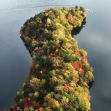 八丁出島、美しいモザイク模様　奥日光の中禅寺湖畔で紅葉最盛期【動画】