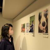 うちのかわいいペットを見て！　栃木で参加型写真展