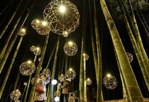 宇都宮・若山農場で竹林ライトアップ