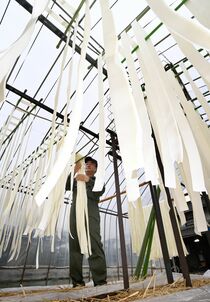 かんぴょう作り本格化　上三川