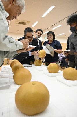にっこりの形や汚れなどを確認する審査員＝21日、宇都宮市