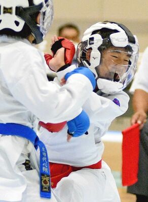 空手道男子組手　栃木Ｂ－千葉Ａ決勝　沼田（栃木Ｂ）－太田代（千葉Ａ）大将戦　沼田が突きで攻める＝県南体育館